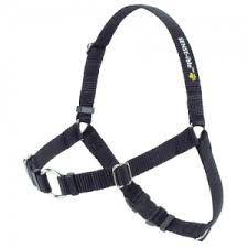 SENSE-ible Dog Harness - Various Colours