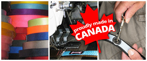 Smoochy Poochy Front Clip Dog Harness