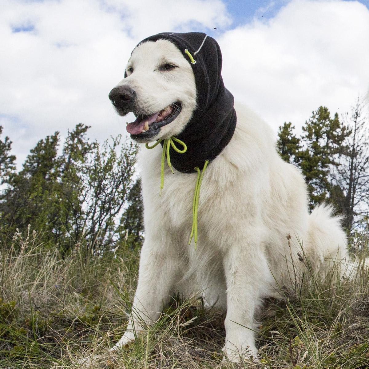 RC Pet Summit Snood - Black/Lime (L)