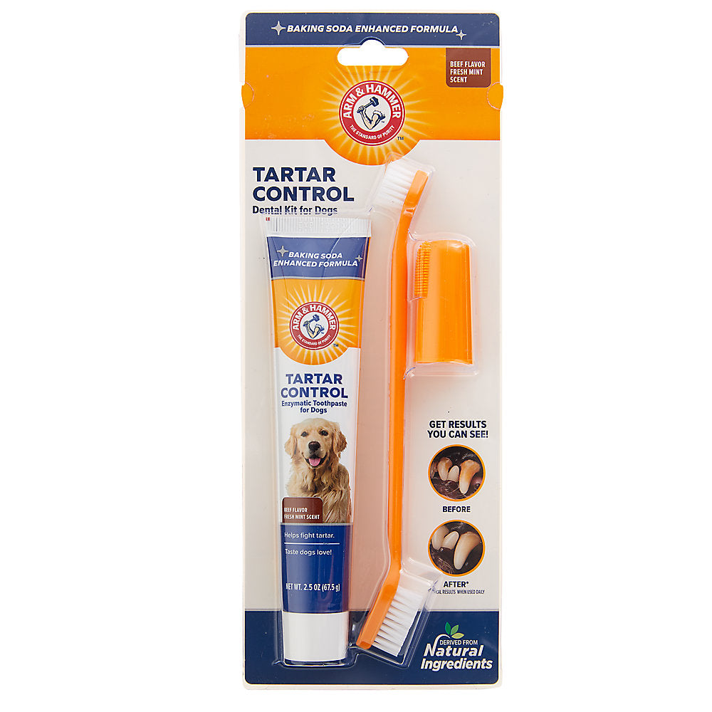 Arm and hammer cheap advanced care dog toothpaste