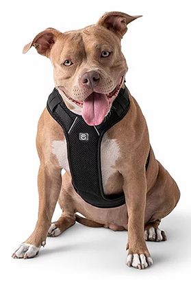 GF Pet Travel Harness - Black