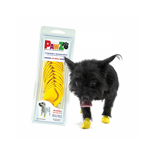 Tiny dog discount boots